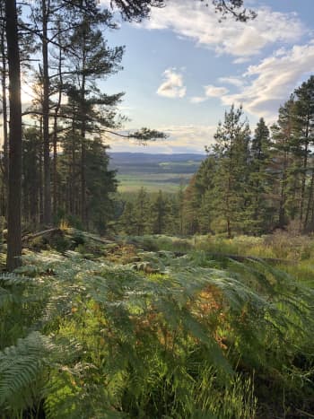 Photo of Scottish Cairngorms