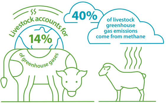 Livestock Greenhouse Gas Emissions Graphic