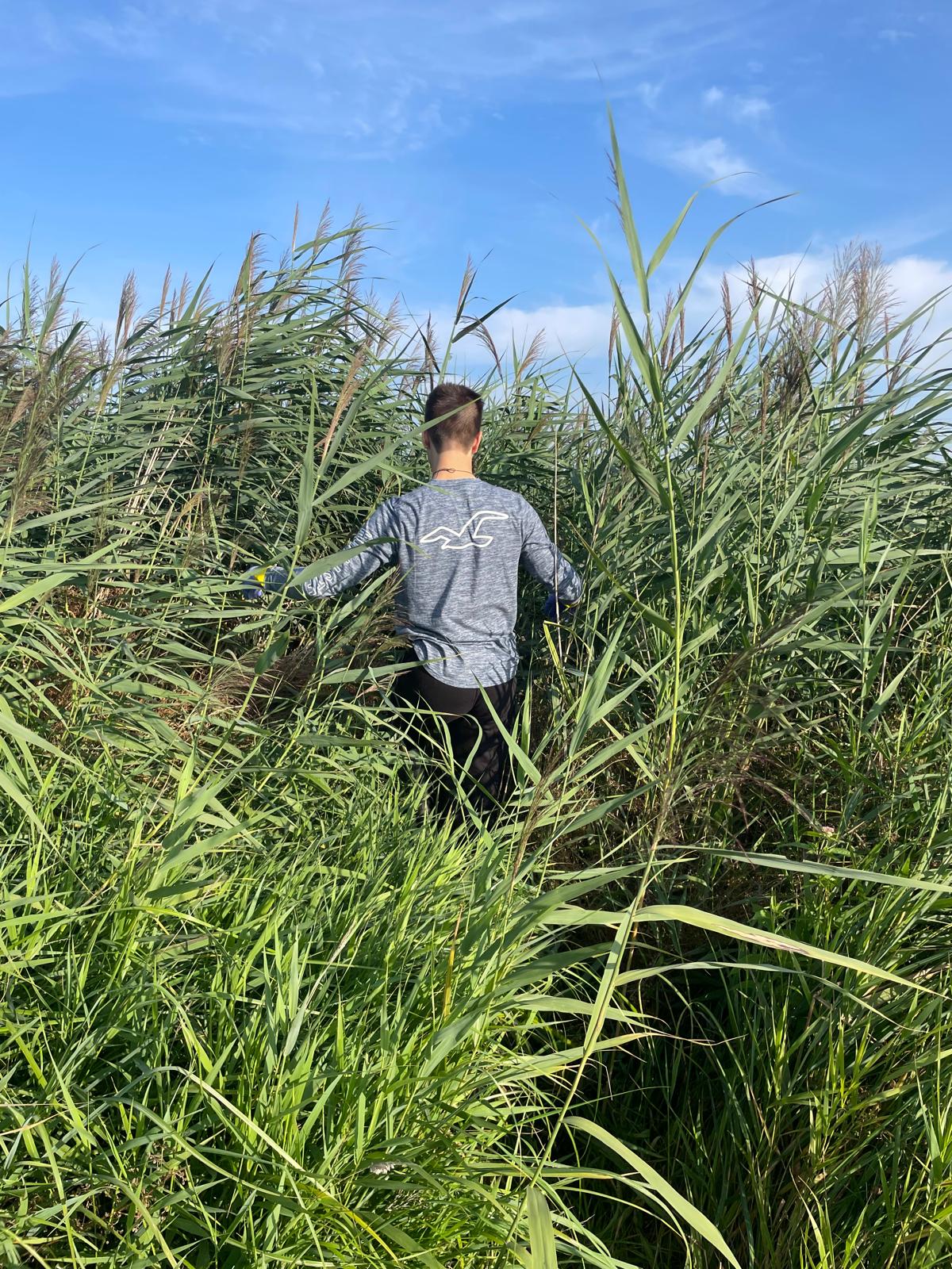 Joseph in the Fens 1