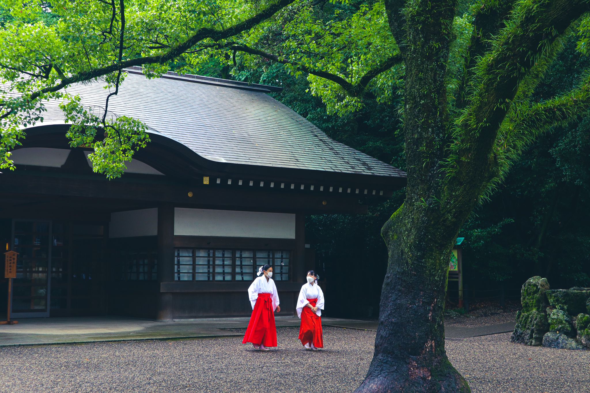 Commended photography entry 'Atsuta Shrine'