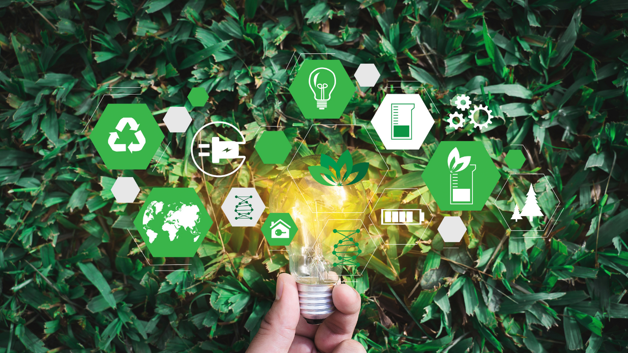 A hand holds a lightbulb in front of a green bush. Various simple icons in green and white relating to sustainability are overlaid. 