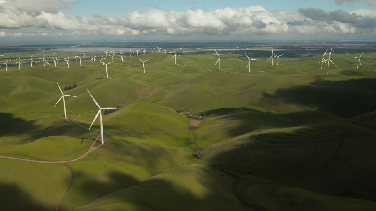 field with windmills