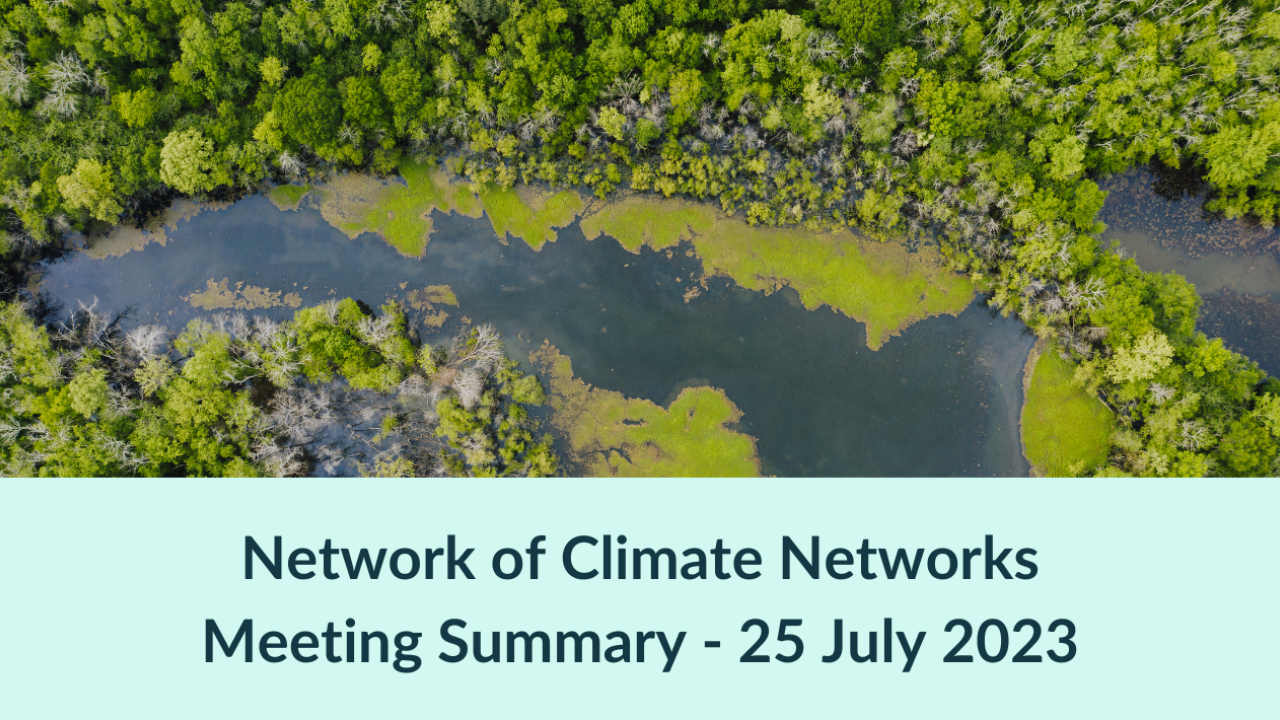 network of climate networks meeting summary banner