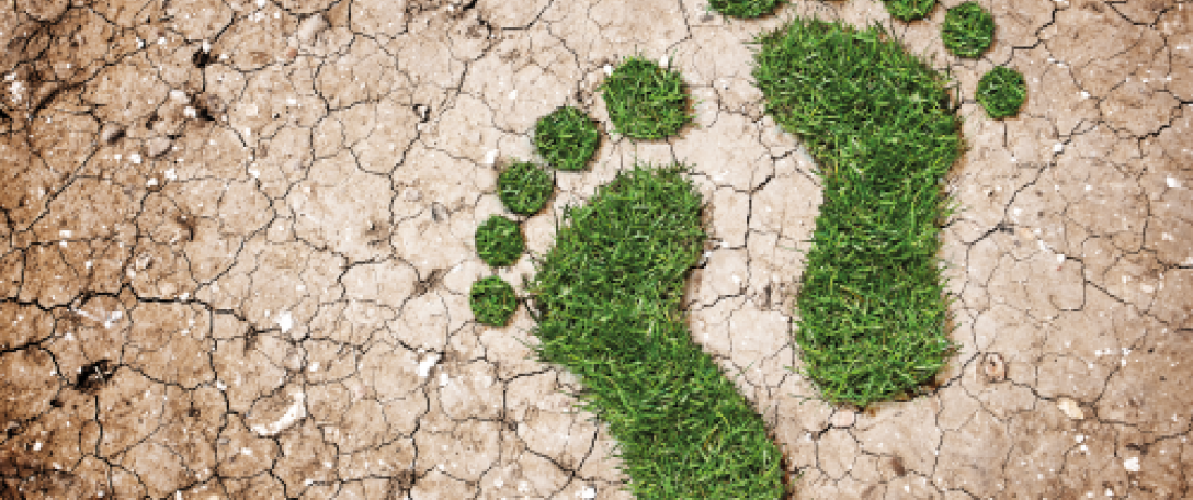Photo of footprint made with moss on an earth background. Credit: Getty Images