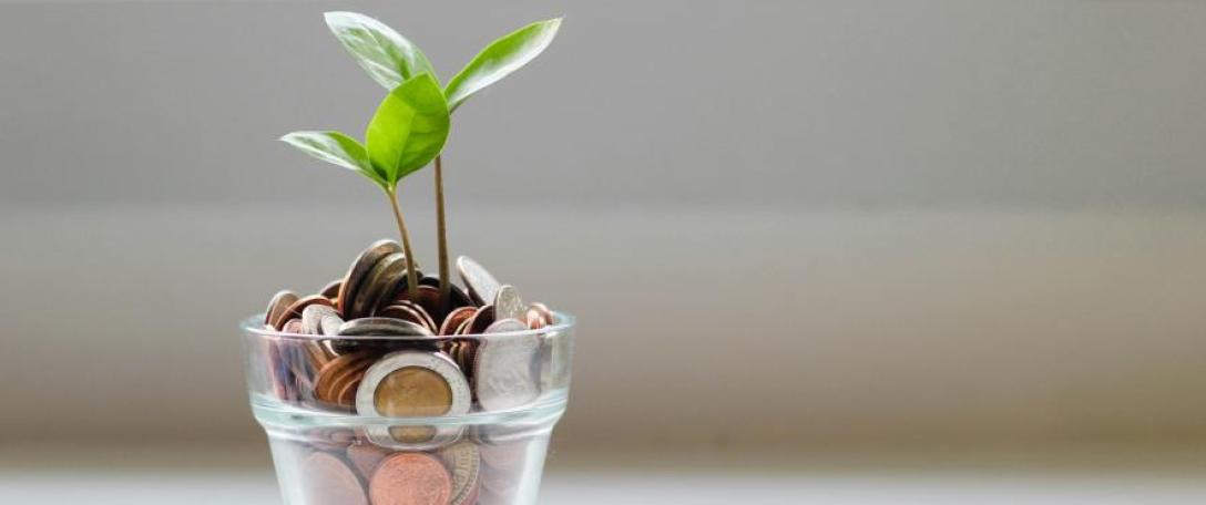 Plants growing from a pot of coins. Photo by micheile henderson on Unsplash