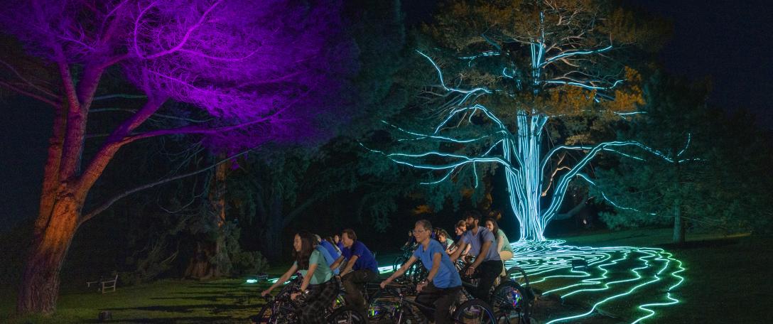 Cambridge Zero helps light up Botanic Garden for King's Coronation Concert