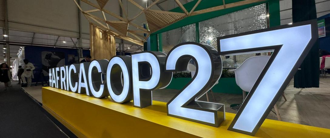 COP27 - One week post-COP: Hopes and Failures