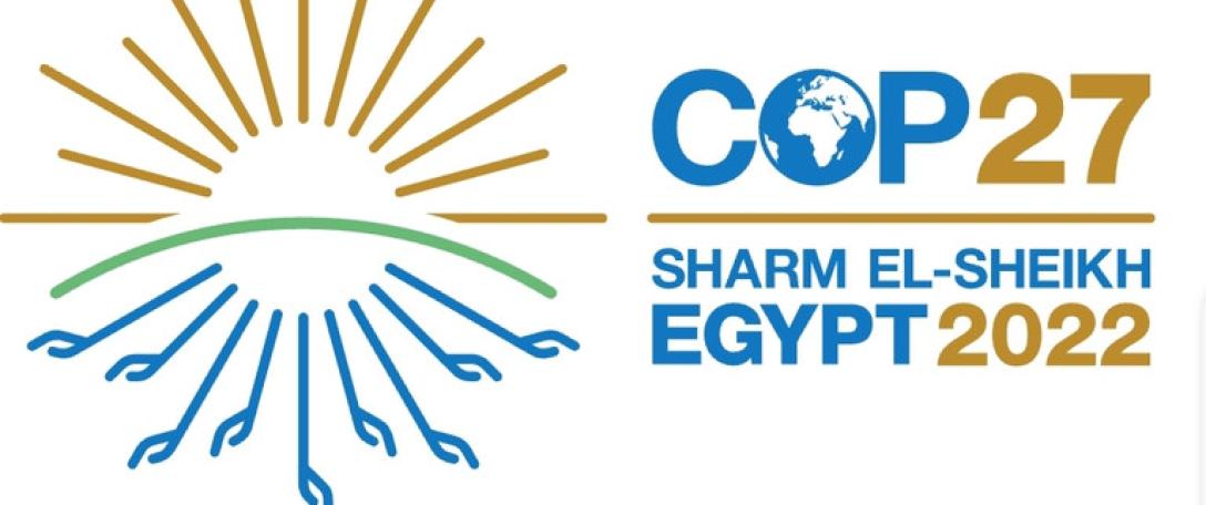 Live from COP27: Looking forward to the next two weeks