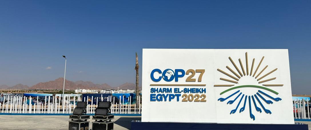 Cambridge at COP: Focus on action and speeding up implementation
