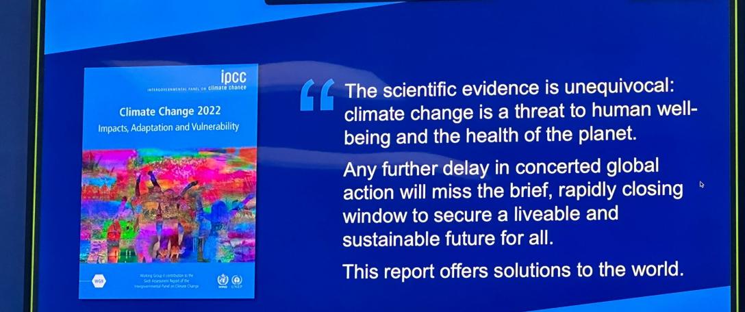COP27 Days 4 & 5 Round-up: Indigenous Peoples and Vulnerable Regions