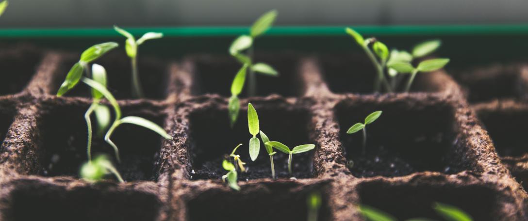 A green stimulus package for a post-Covid UK 