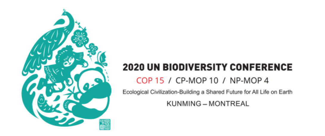 COP15 - The Biodiversity COP