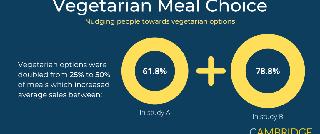 Vegetarian Meal Choice Infographic