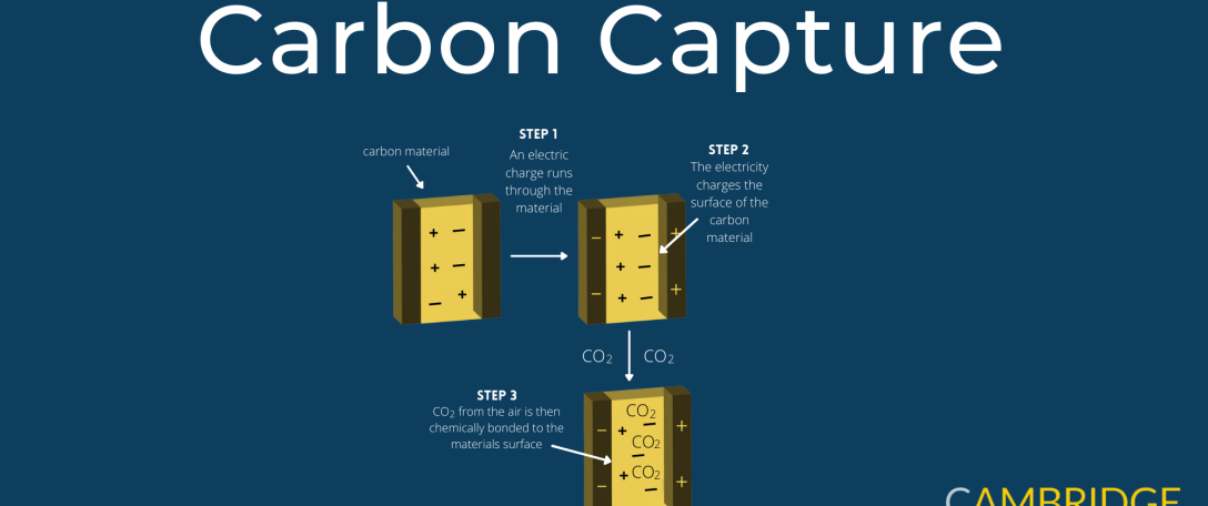 Carbon Capture Infographic