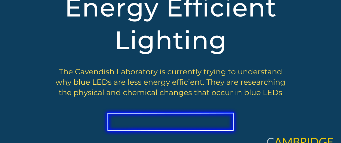 Energy Efficient Lighting Infographic