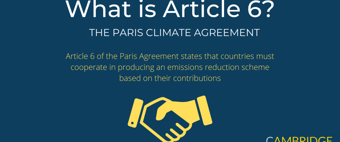 What is Article 6? Infographic