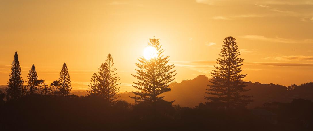 Pathways to net zero emissions and carbon/climate neutrality