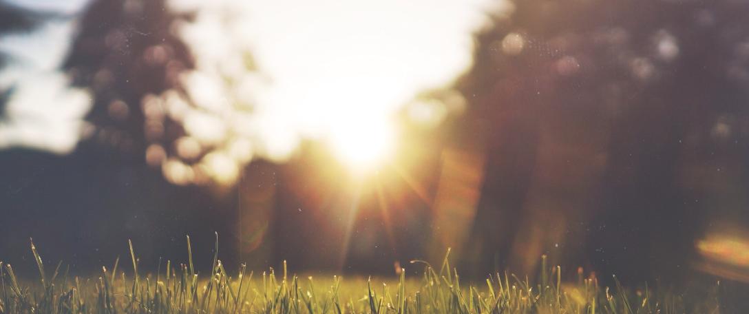 The UKs record-breaking temperatures a 'deadly' effect of climate change