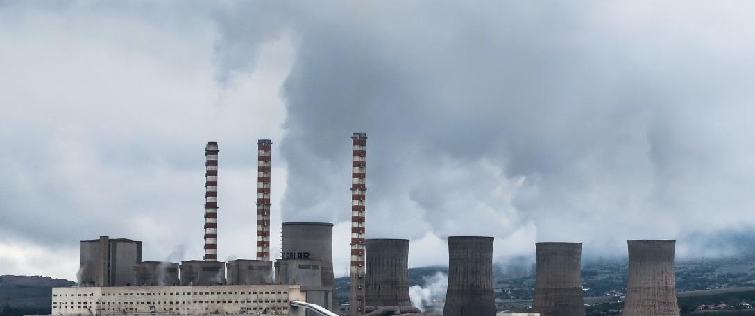 Student and Staff Carbon Challenge Competition: 'Gamifying Decarbonisation' Winners