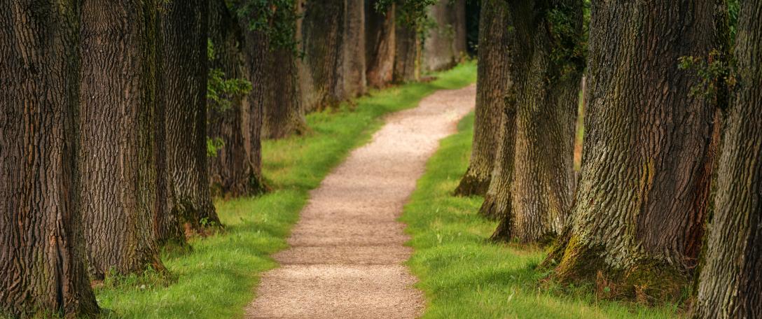 Pathways to Net Zero Emissions Event - Global Alliance of Universities on Climate