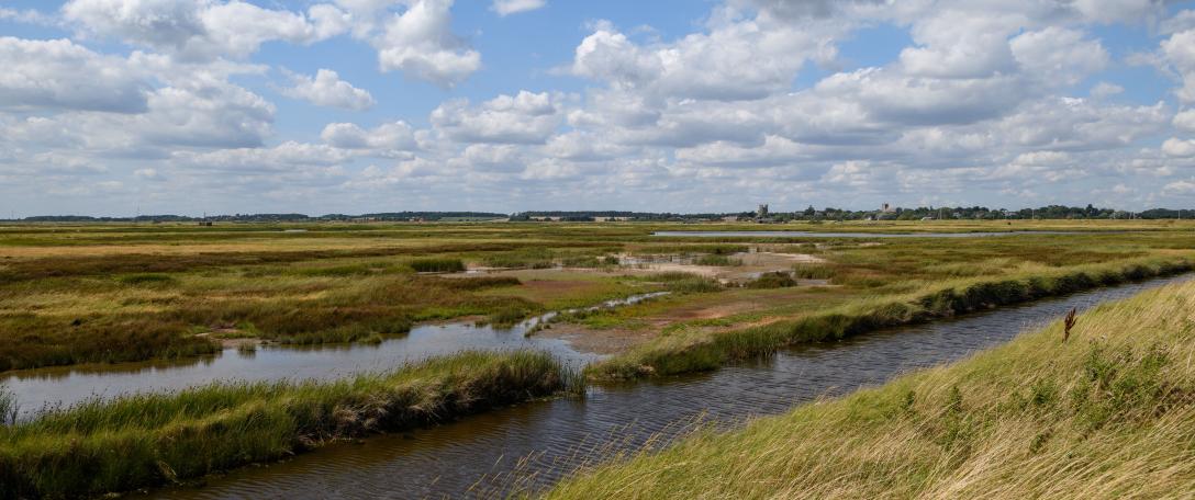 The State of the Fenland Peat: Why peatland loss is a serious challenge and what we can do about it