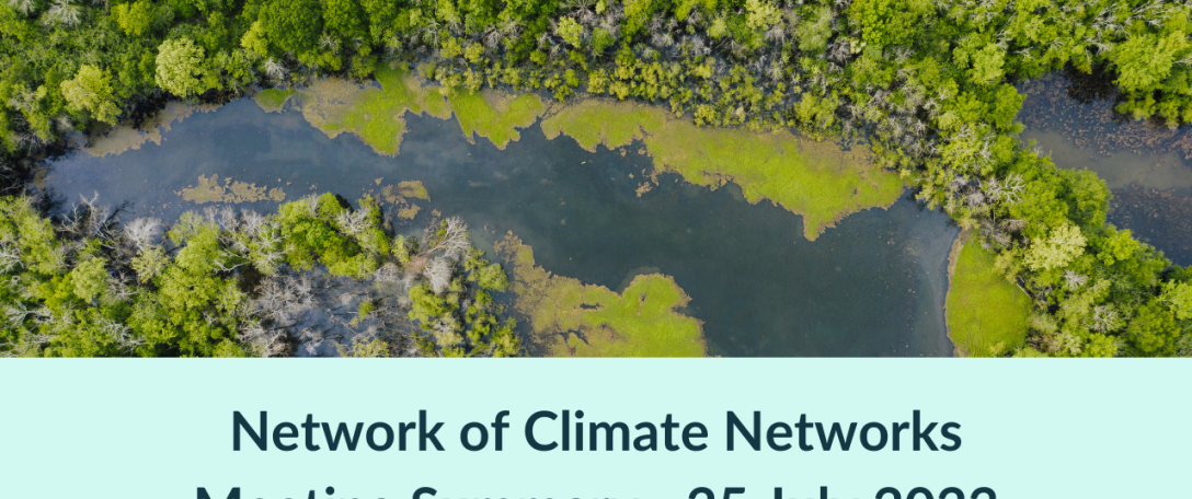 Network of Climate Networks