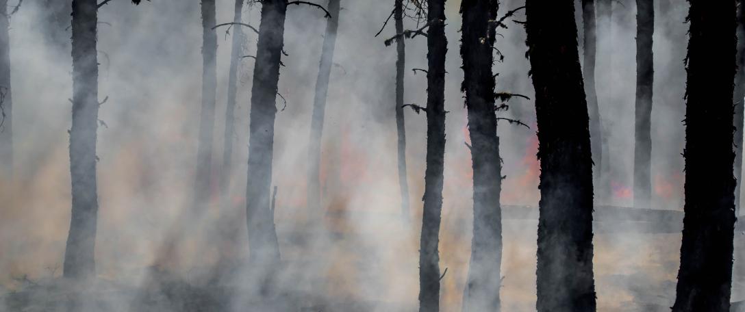 The Arctic is Burning: Is Climate Change to Blame?