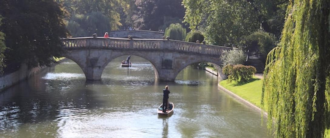 Join us at the Cambridge Festival 2023