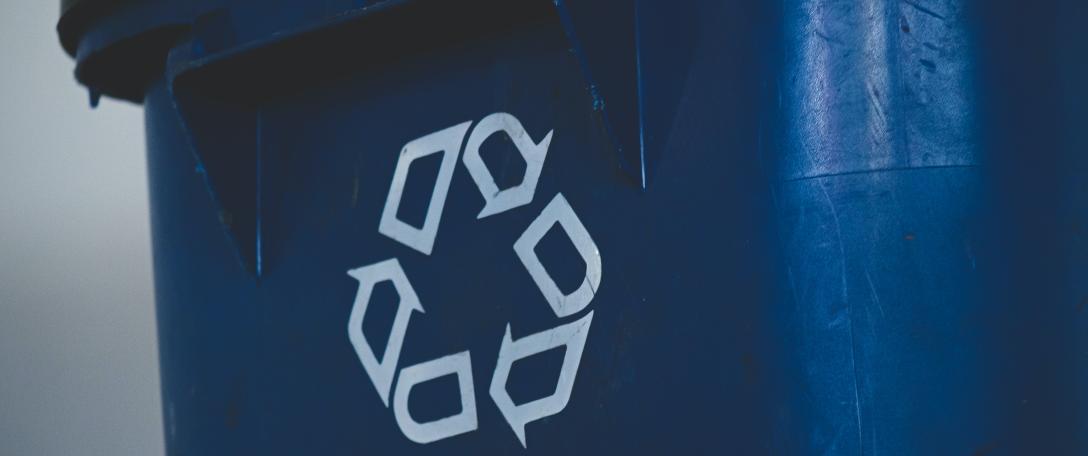 Cambridge Zero workshop explores algae, worms and GPS tracking for waste