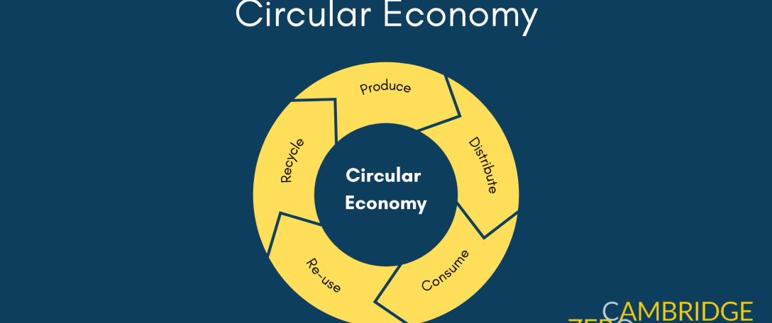 Circular Economy Infographic