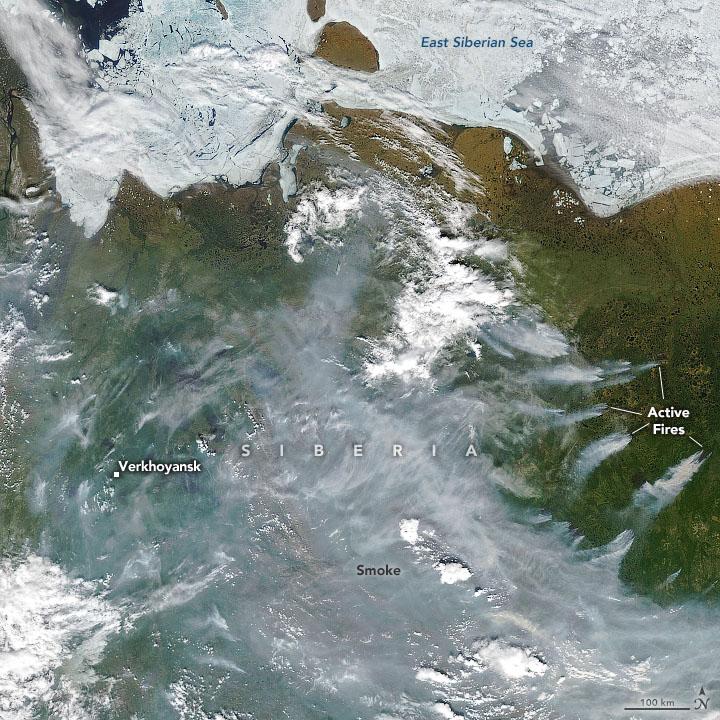Satellite image showing the melting sea ice along the coast and the active fires pouring out smoke in Siberia. Credit: NASA’s Earth Observatory -- VIIRS / Suomi NPP Satellite image 