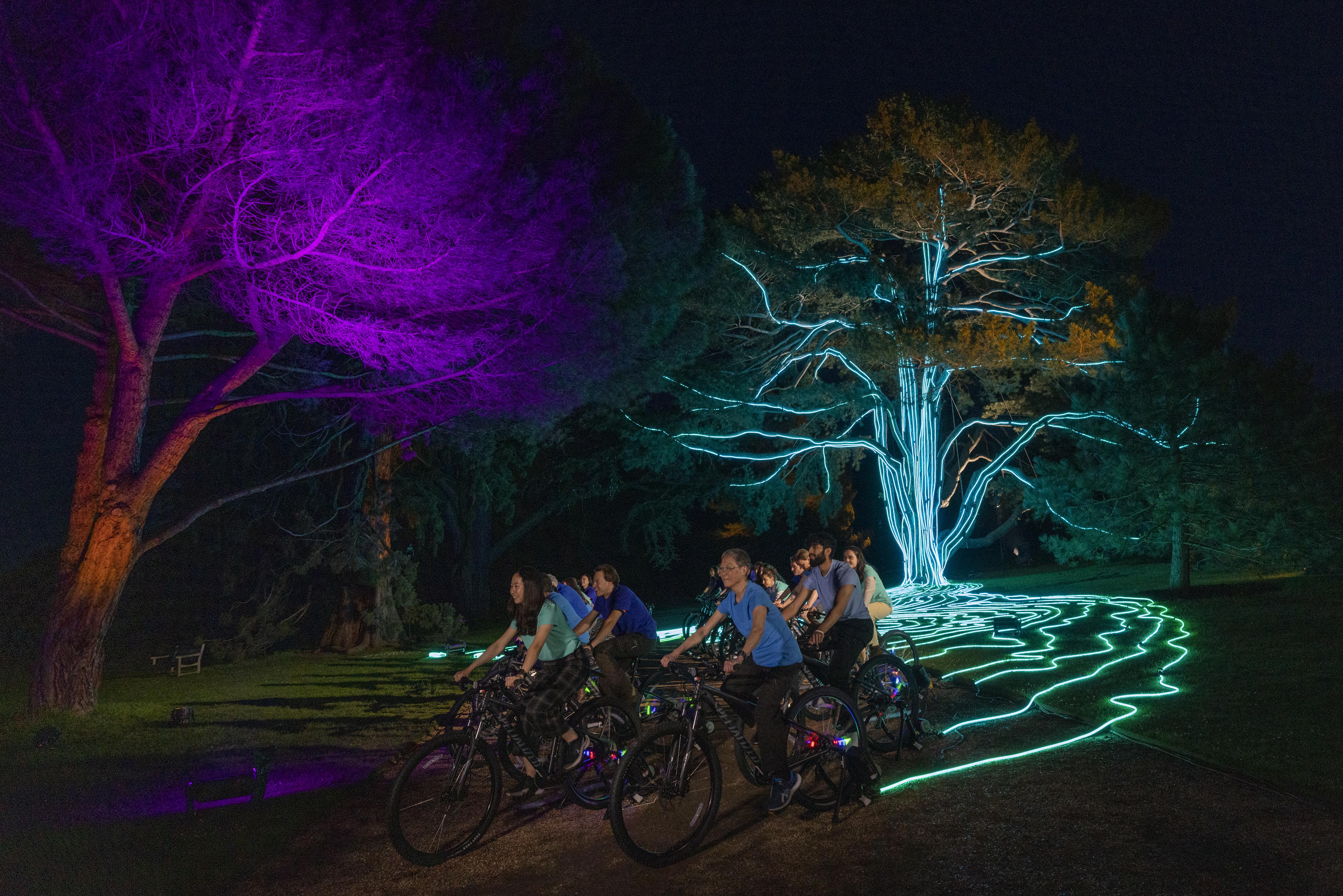 Students and staff on stationary cycles power lighting display on tree 