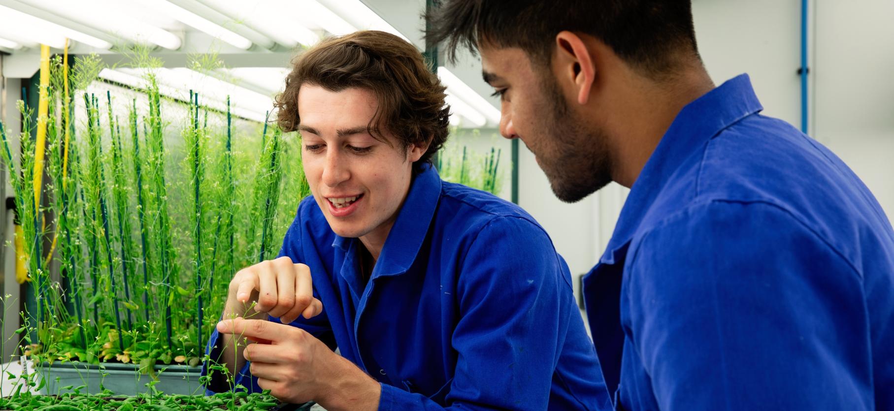 Students at the Maxwell Centre