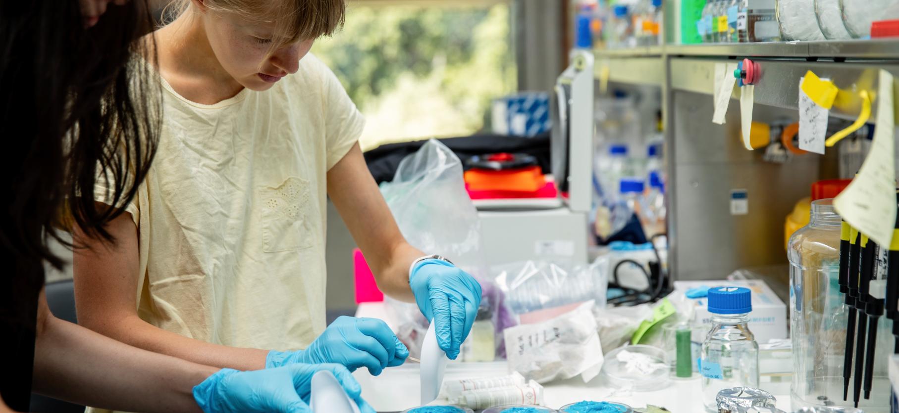 Students at Sainsbury's Lab. Photo credit: University of Cambridge