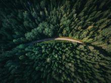 geranimo-qzgn45hsen0-unsplash