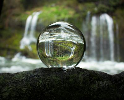 Image of nature on a glass. Photo by Elijah Hiett on Unsplash