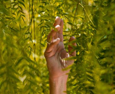 Person holding green leaf plant. Photo by rafael albornoz on Unsplash