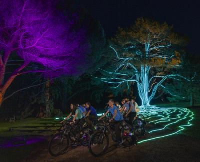 Cambridge Zero helps light up Botanic Garden for King's Coronation Concert