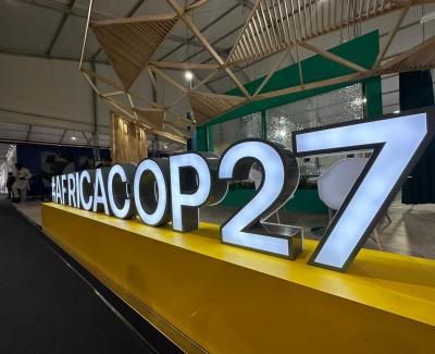 COP27 - One week post-COP: Hopes and Failures