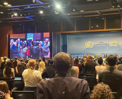 COP27 Day 11 Round-up: Plea for Heroes at the Informal Stocktakings, and State of Negotiations