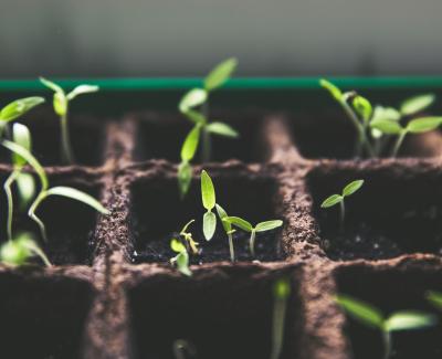 A green stimulus package for a post-Covid UK 