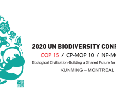 COP15 - The Biodiversity COP