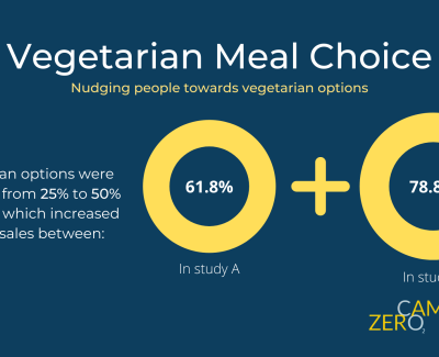 Vegetarian Meal Choice Infographic