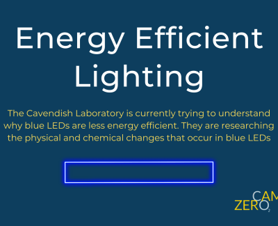 Energy Efficient Lighting Infographic