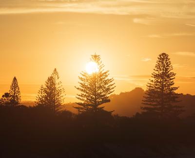Pathways to net zero emissions and carbon/climate neutrality