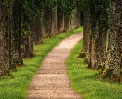 Pathways to Net Zero Emissions Event - Global Alliance of Universities on Climate