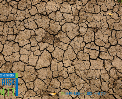 COP26 Universities Climate Risk Summit Blog: Simultaneous heatwaves, wildfires and droughts – how can we better prepare and respond now and in the future?  