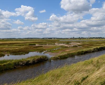 The State of the Fenland Peat: Why peatland loss is a serious challenge and what we can do about it