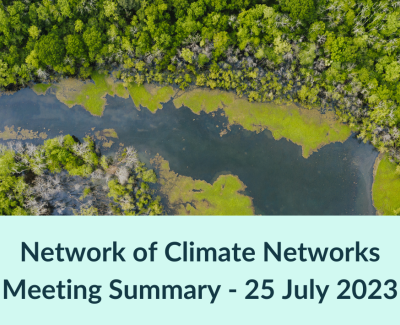 Network of Climate Networks