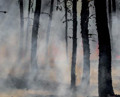 The Arctic is Burning: Is Climate Change to Blame?